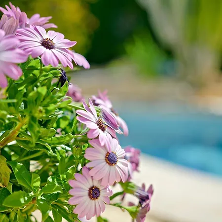 Mariposa Hébergement de vacances Calp